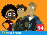 amazon prime wild kratts Offers online OFF-73